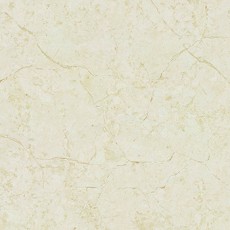 TPVL80107