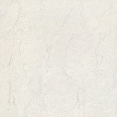TPW60101 (폴리싱)