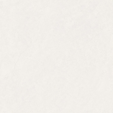쏘렌토 화이트