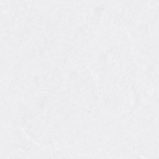 MS01